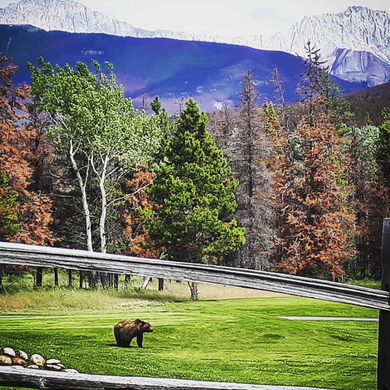 play golf at the fairmont jasper park lodge golf club
