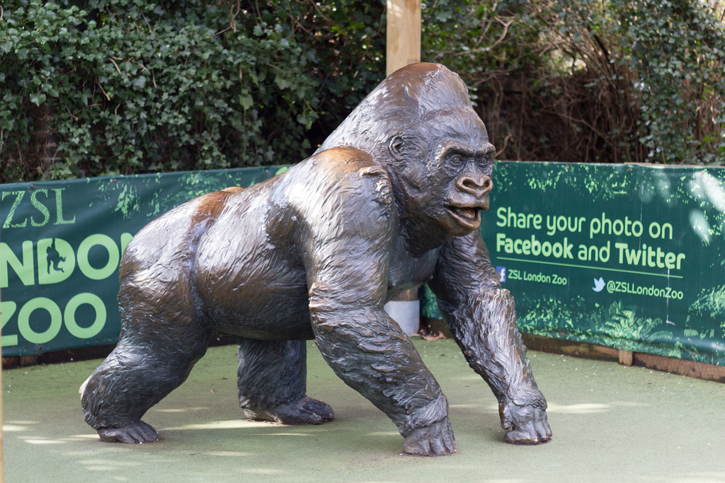 ZSL London - Guy the Gorilla sculpture (01)