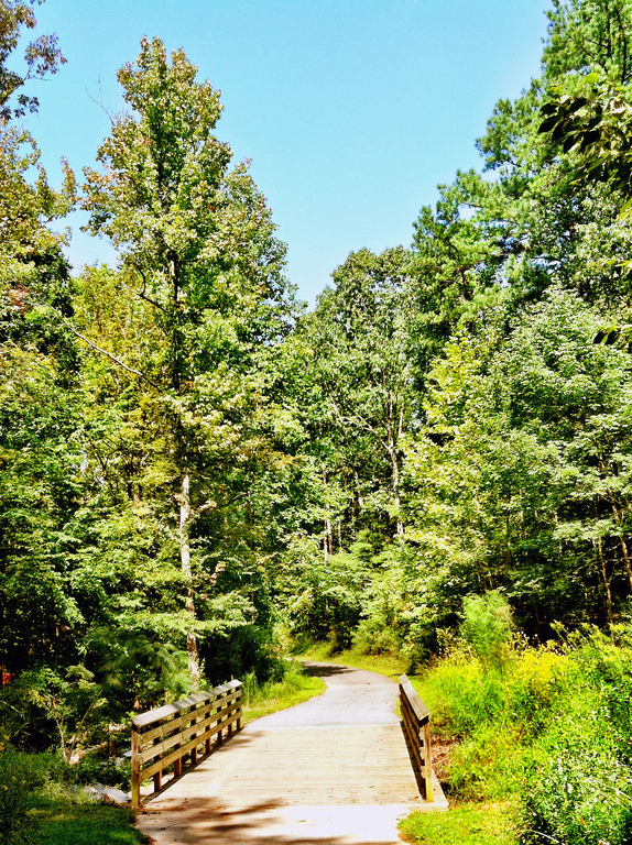 Greenway in Cary - panoramio