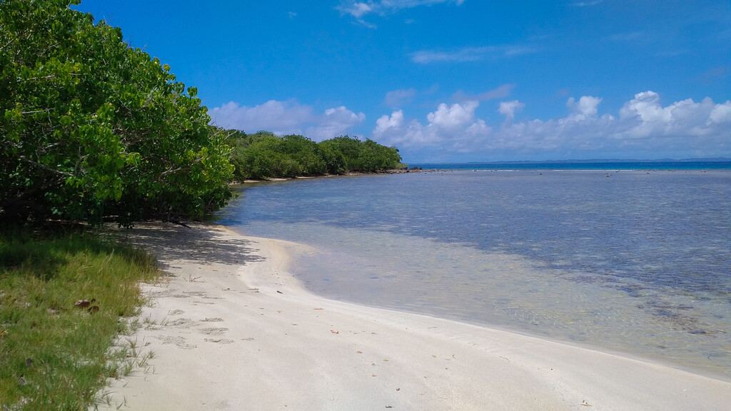 Playa Datiles