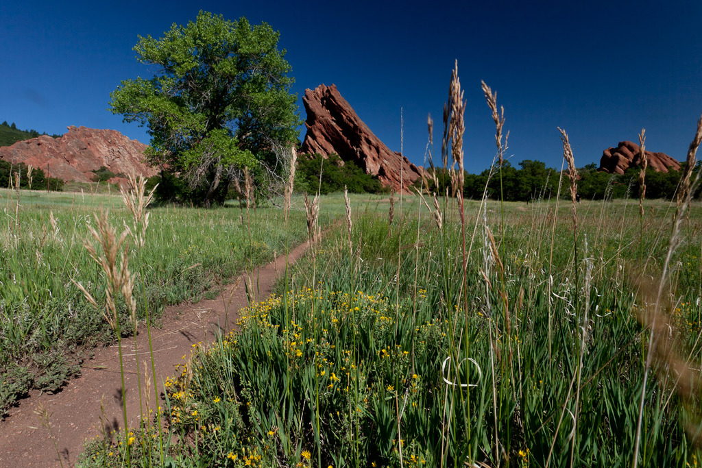 Willow Creek Trail (5974709334)