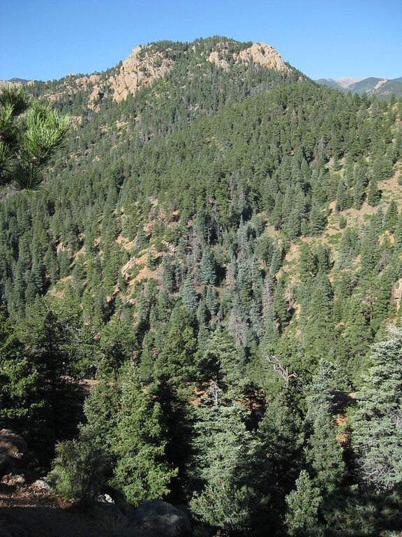 Muscoco Mountain from the Mt. Cutler Trail