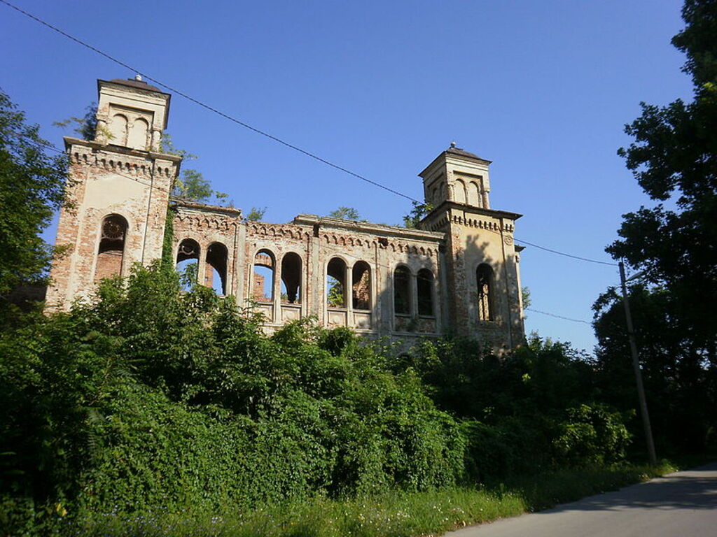 Vidin Synagogue 2010