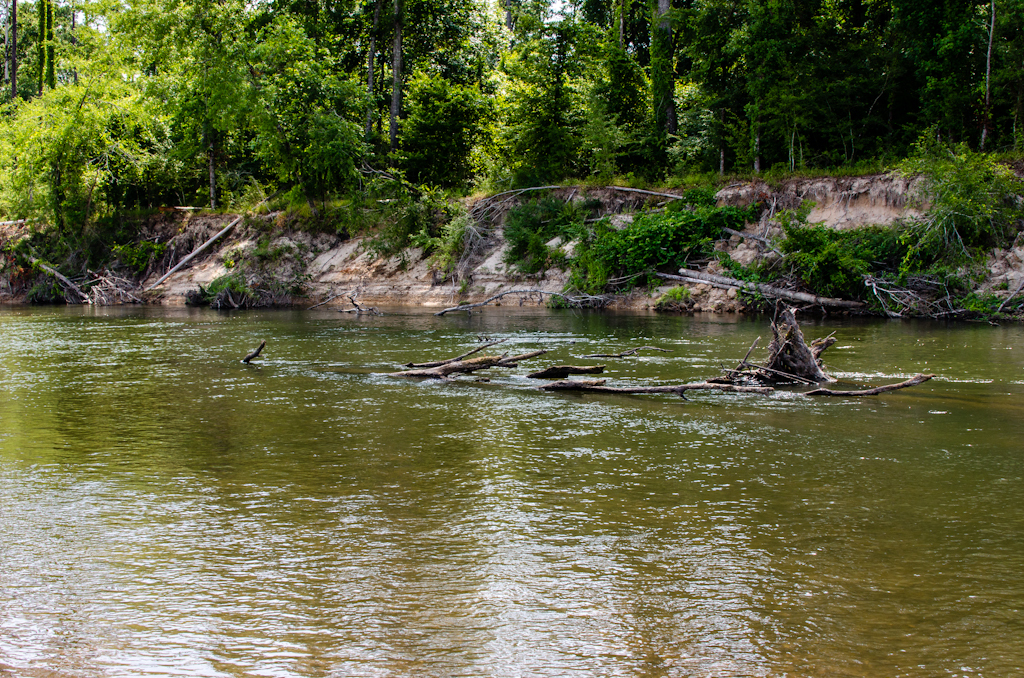 Bogue Chitto River
