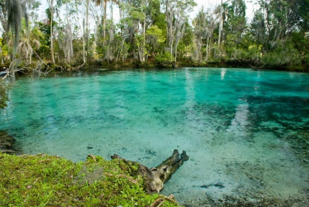 Crystal River