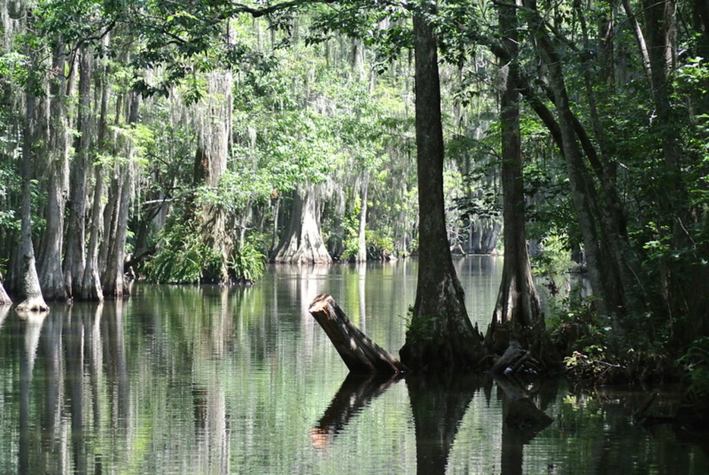 Dora canal