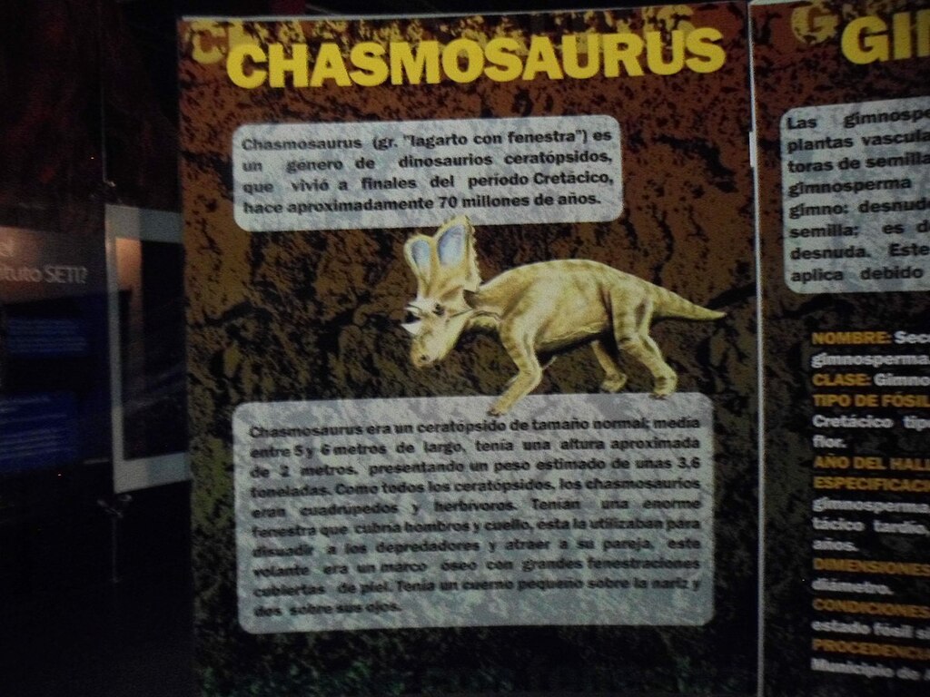 Chasmosaurus Museo Semilla, Chihuahua