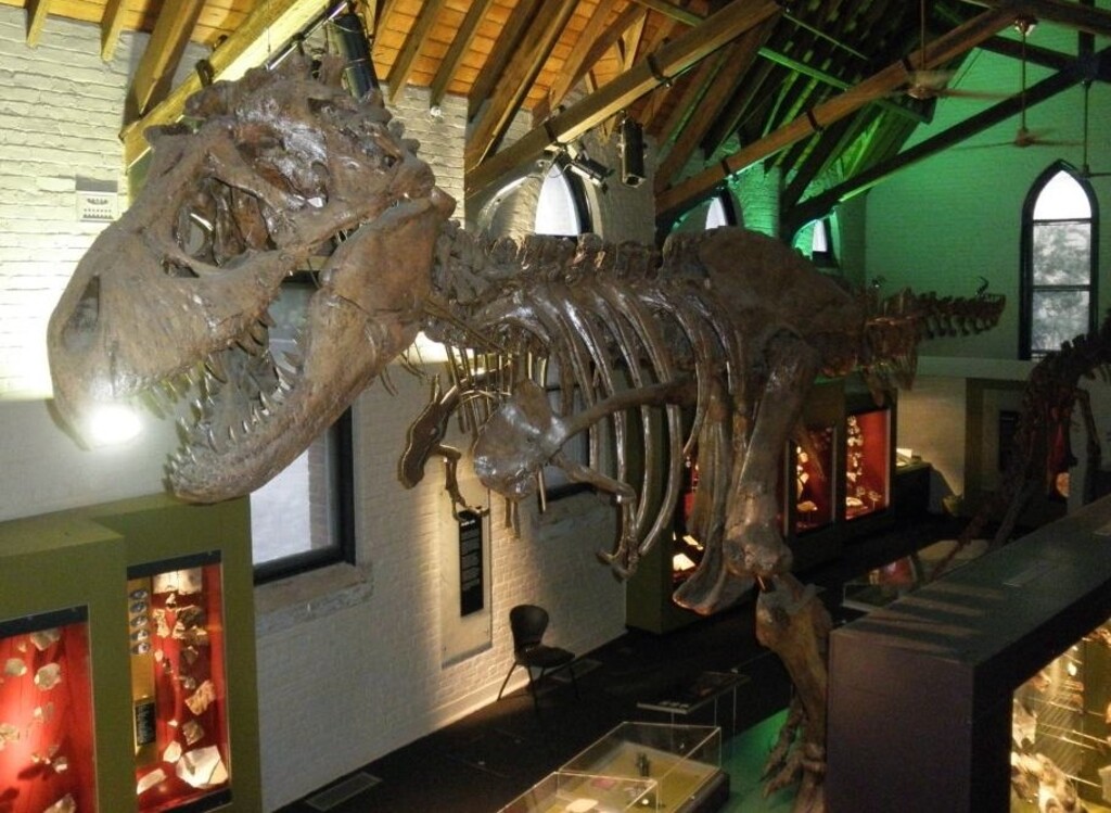 Fossil-museum1