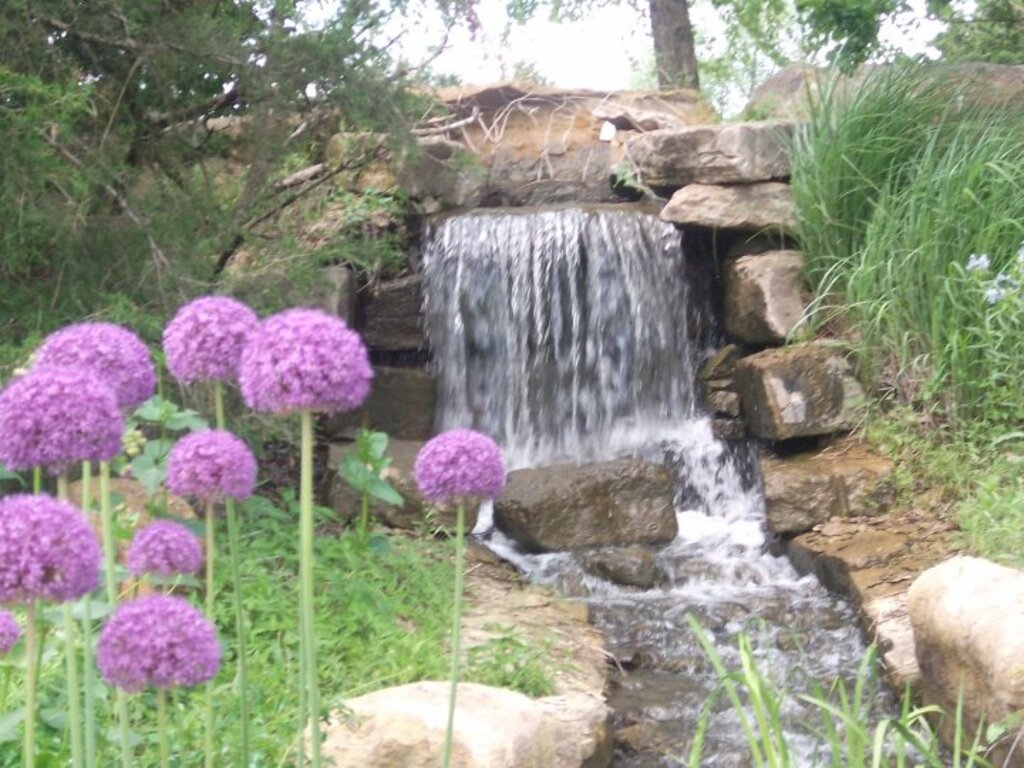 Waterfall and Flowers, OP Arboretum