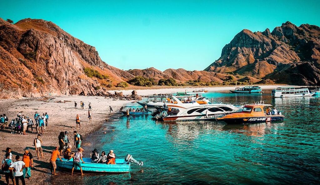 things to do in flores indonesia | the iconic padar island of komodo national park