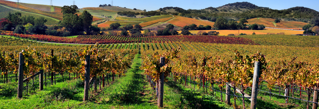 Napa Valley, California