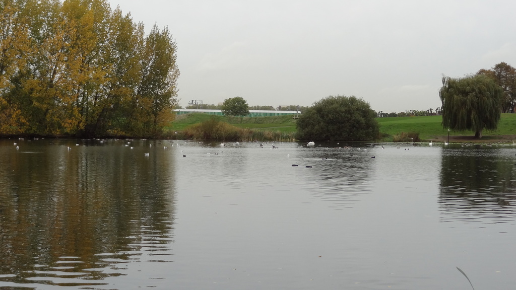 Mayesbrook Park 4
