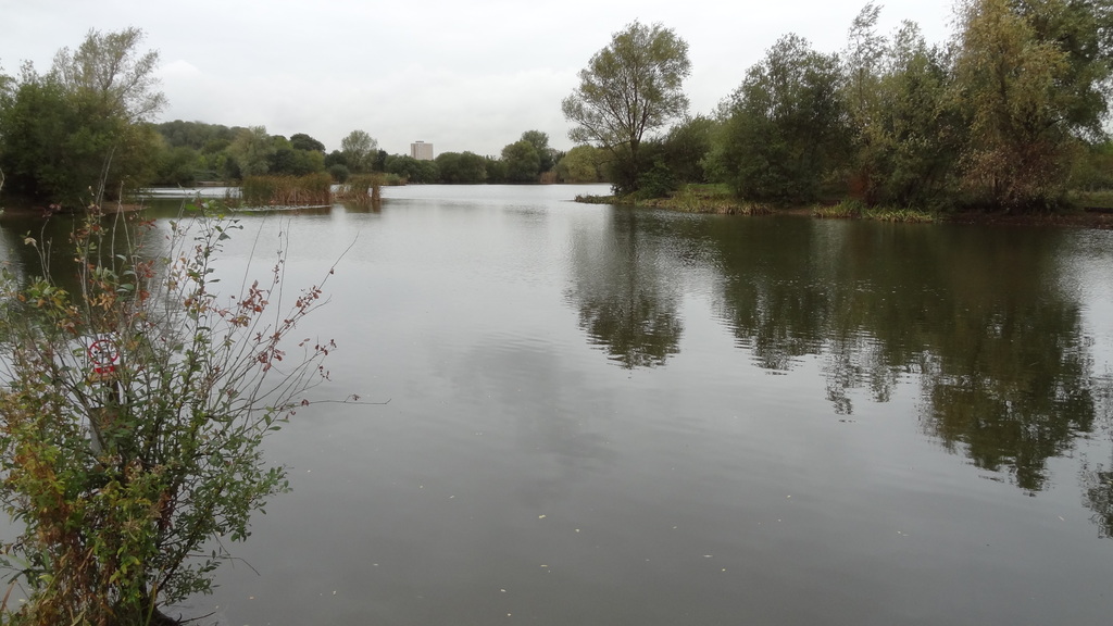 Bardag Lake, Eastbrookend Country Park