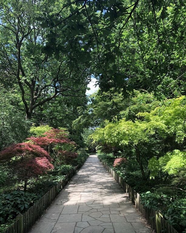 things to do in albion mi | enjoy a picnic at holland park