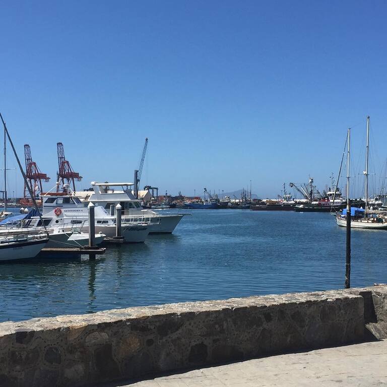 things to do in ensenada | shop for unique souvenirs at malecón de ensenada