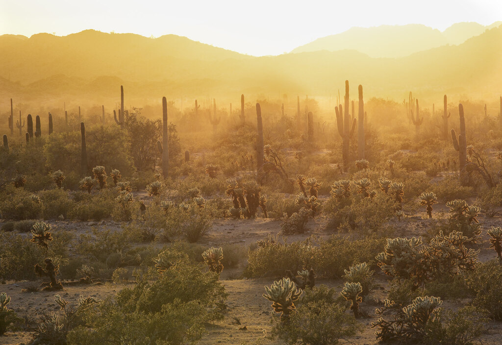 Juan Bautista de Anza National Historic Trail, Arizona