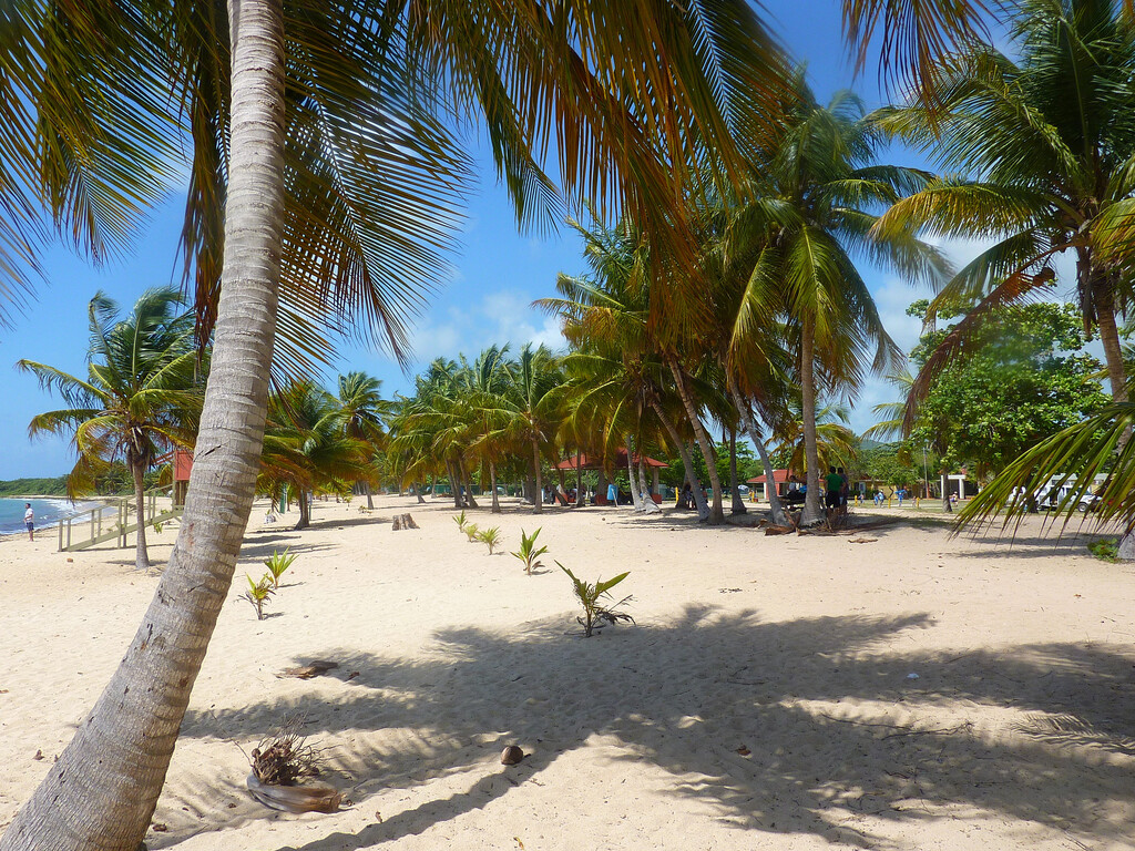 Vieques - Puerto Rico
