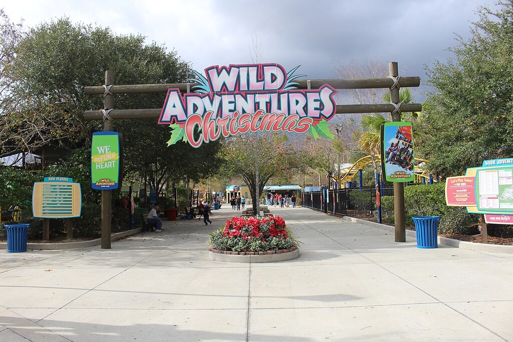 Wild Adventures 