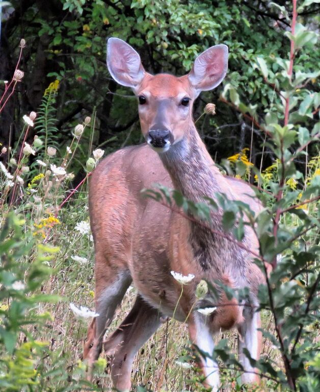 Top 13 Things To Do In Farmington Hills, Michigan Trip101