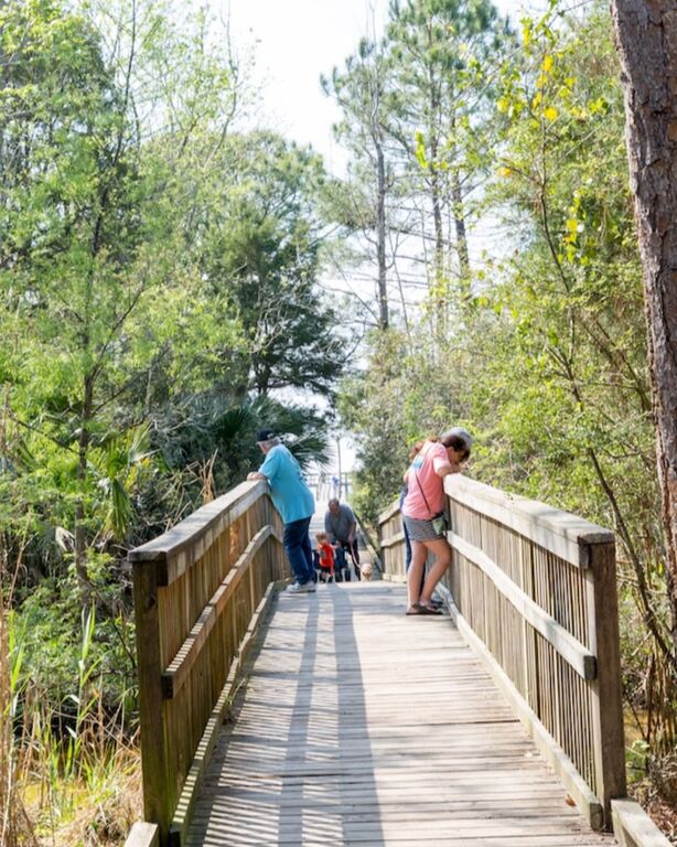 things to do in daphne al | witness the diverse wildlife at daphne bayfront park