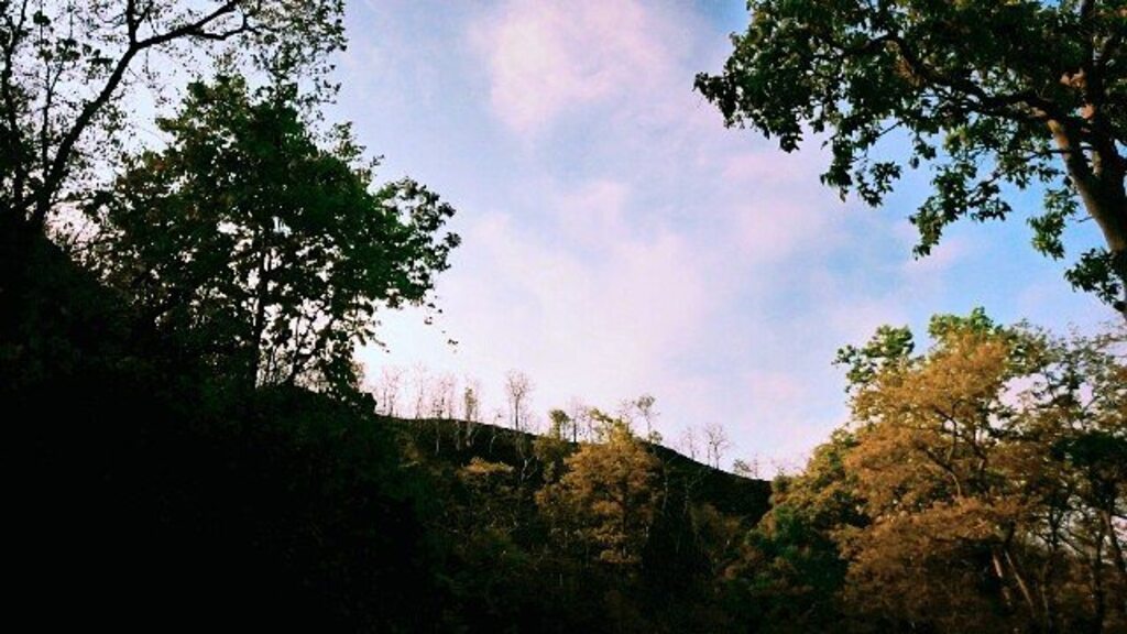 wildlife sanctuary in chhattisgarh | bhoramdev wildlife sanctuary