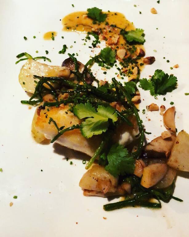 farm to table restaurants in indianapolis | bluebeard indy