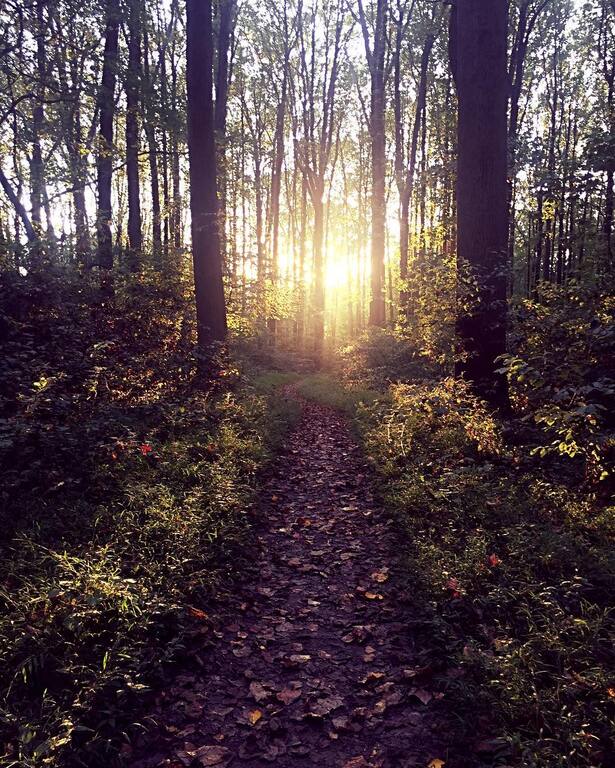 Top 11 Things To Do In Cockeysville, Maryland Trip101