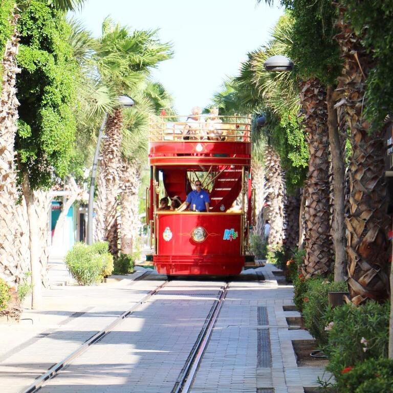 things to do in oranjestad aruba | hop on board aruba streetcar