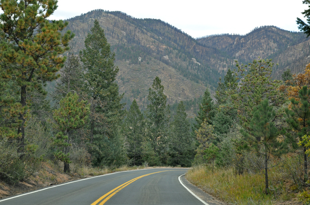 views from Pike's Peak Highway