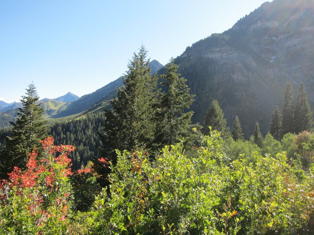 Alpine Loop