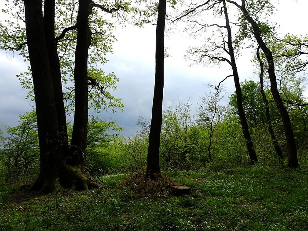 Platoul Cornesti hiking