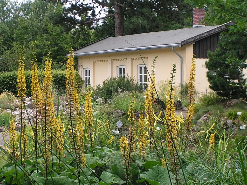 OL Botanischer Garten 2