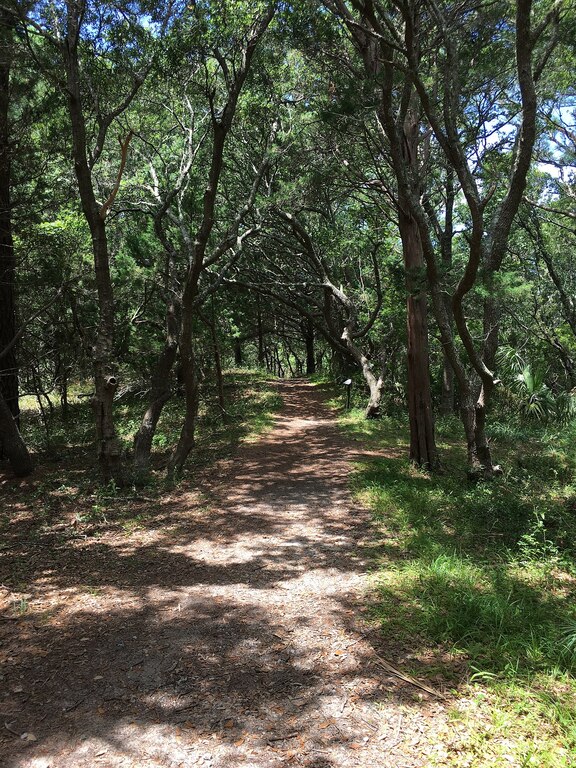 10 Best Things To Do In Buxton, North Carolina Updated 2024 Trip101