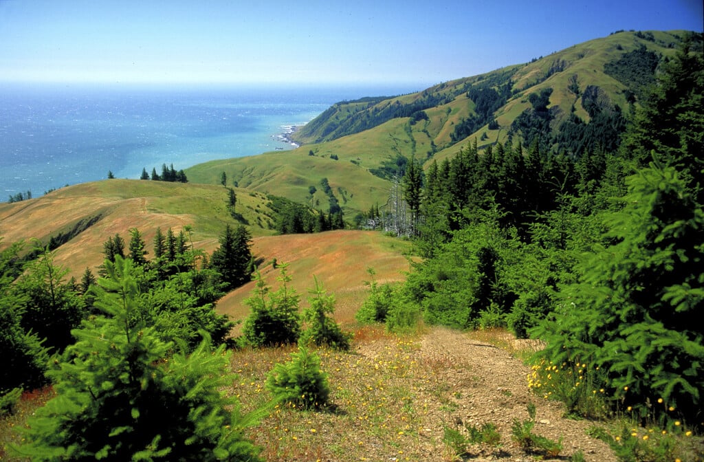 King Range National Conservation Area