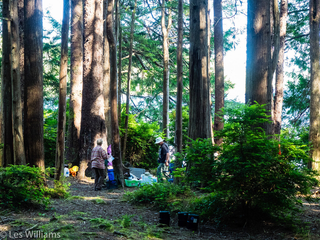 Ericson's Bay Campground