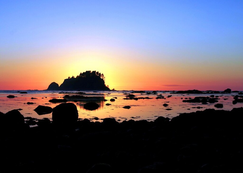 The western terminus of the PNT at Cape Alava in Olympic National Park