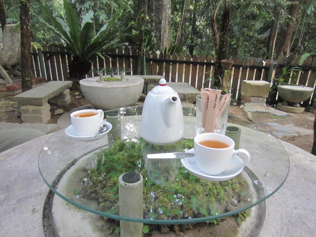 what to do in penang hill | relax and chill at kopi hutan