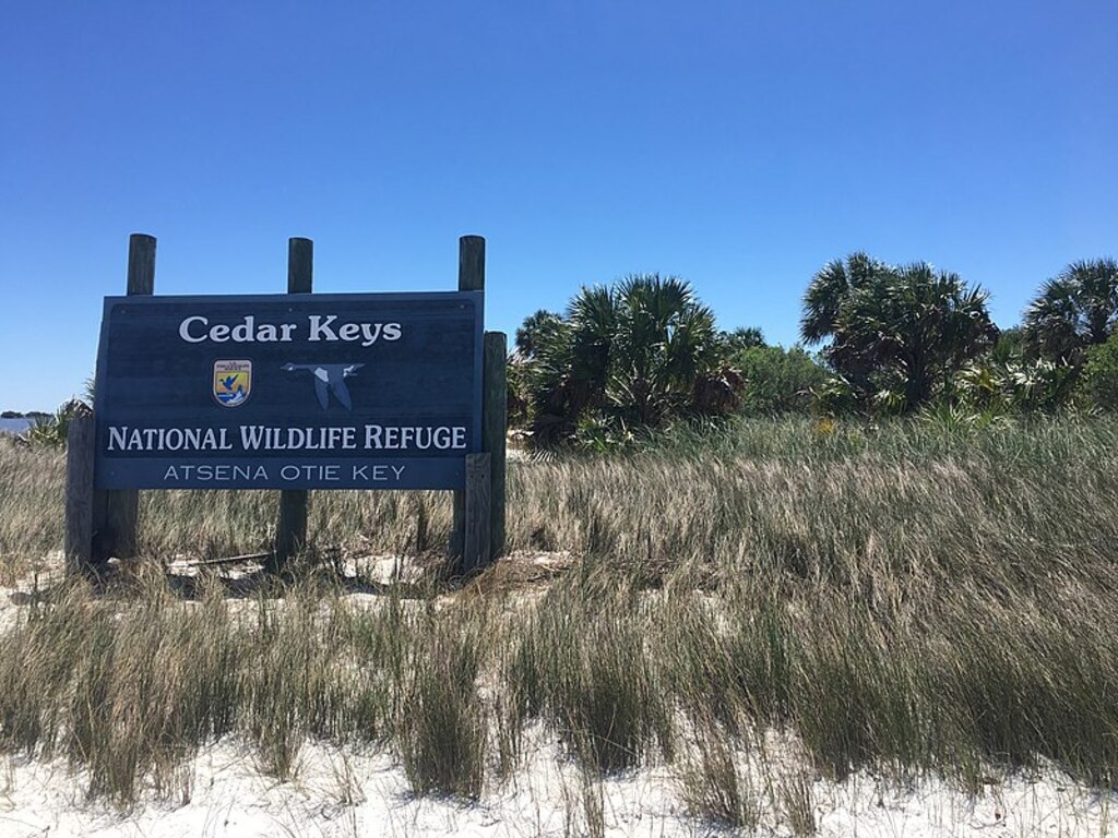 18 Best Things To Do In Cedar Key, Florida Trip101