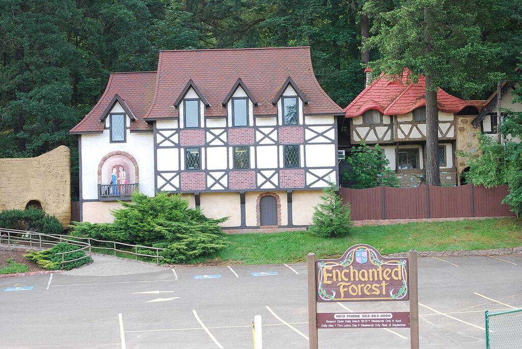 Enchanted Forest