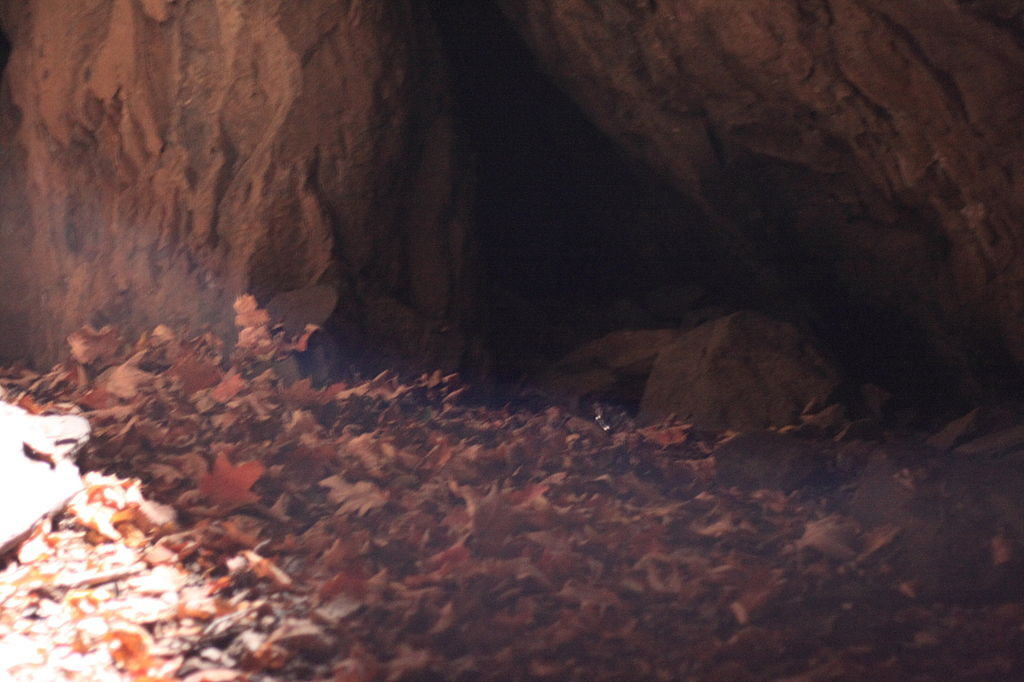 Will Warren's Den, chamber