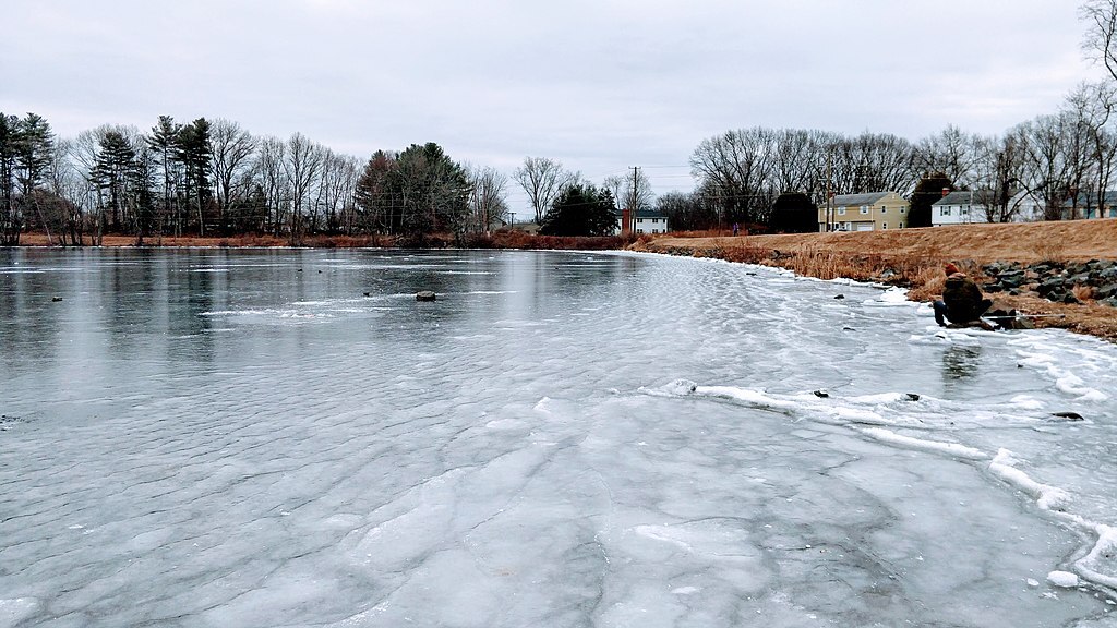 Batterson Park Lake during winter storm Jan 2019