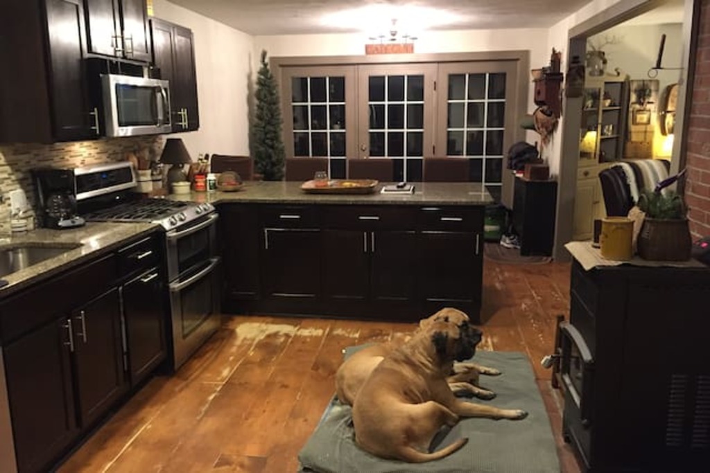 7 Best Airbnb Vacation Rentals In Carver, MA Updated 2024 Trip101