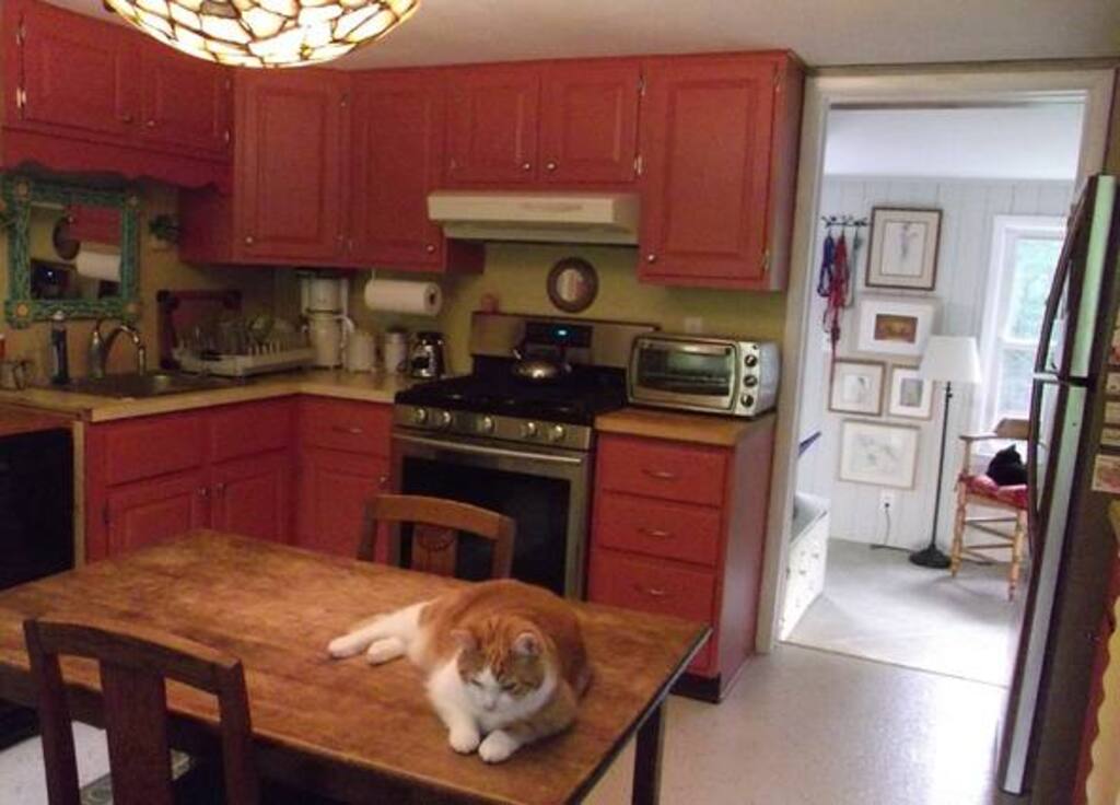 14 Best Airbnb Vacation Rentals In Danbury, CT Updated 2024 Trip101