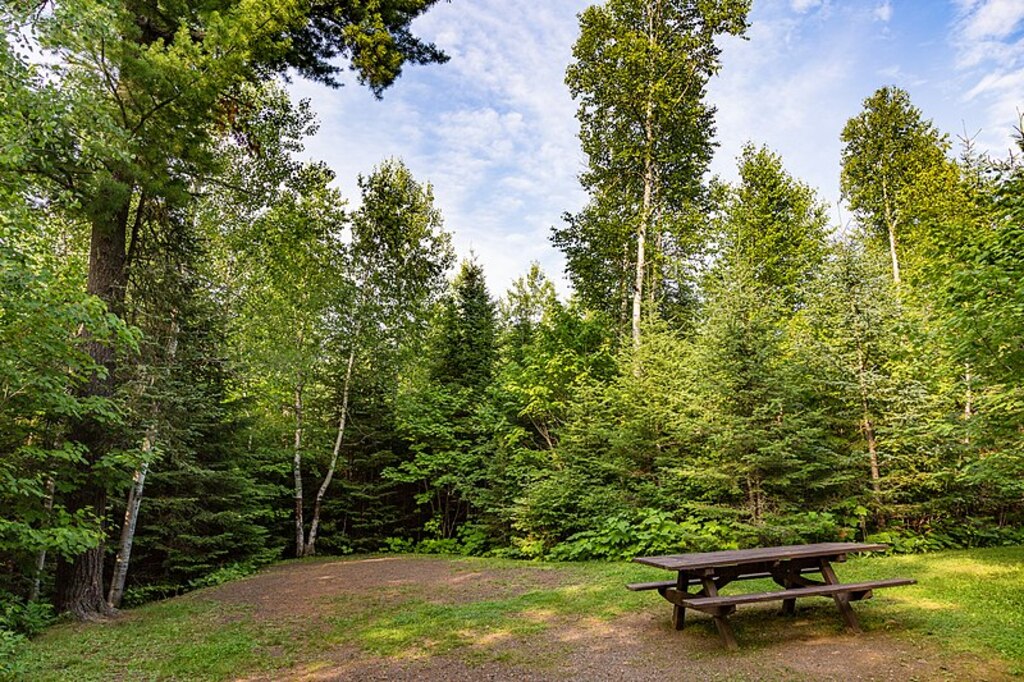 Flour Lake Campground on the Gunflint Trail, Minnesota (40838903012)