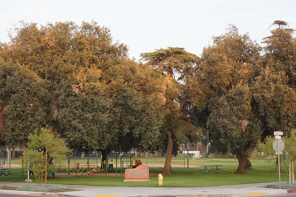 2014, On San Fernando Streets, City of San Fernando Recreation Park - panoramio