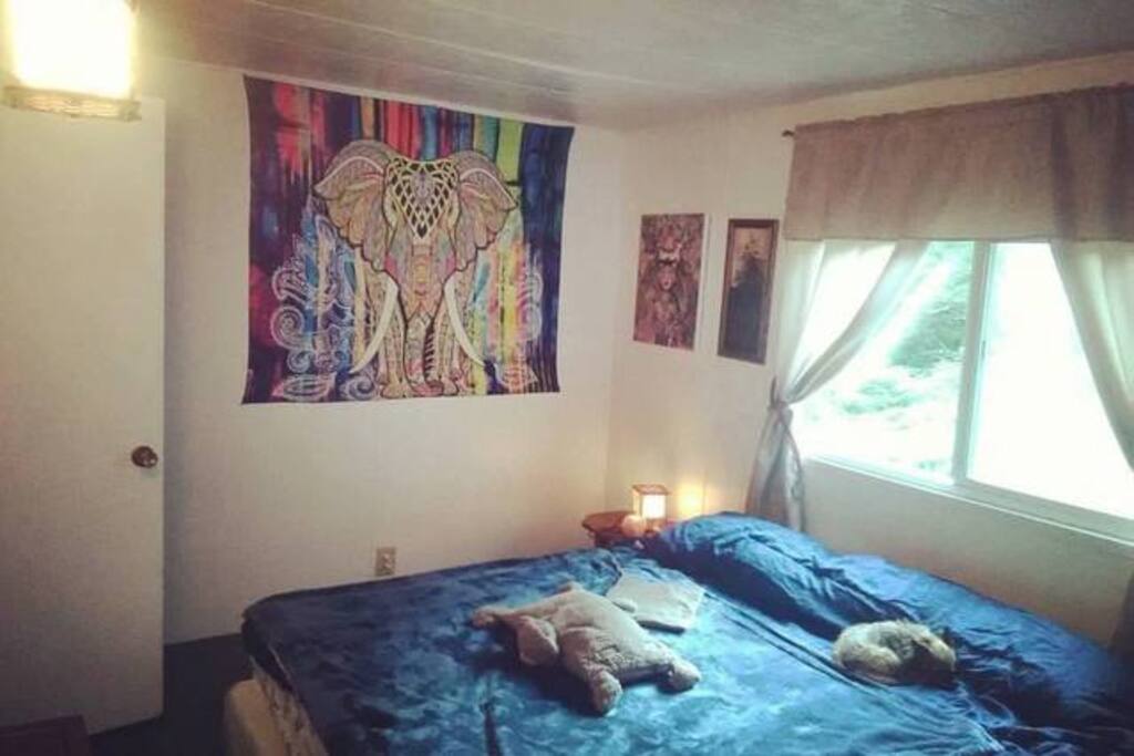 Top 9 Airbnb Vacation Rentals In Centralia, Washington Updated 2024