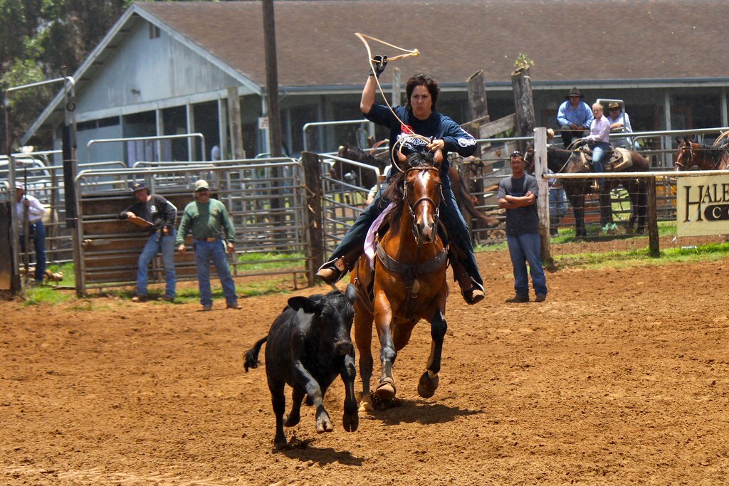 Wahine_Breakaway_34