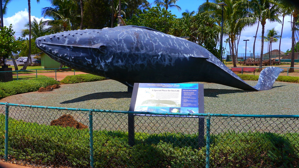 Kalama Park, Maui, Hawaii
