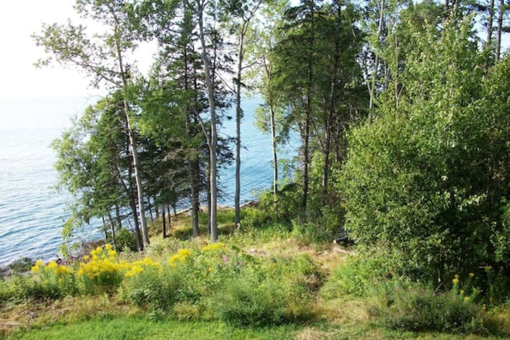 Top 9 Airbnb Vacation Rentals In Campobello Island, Canada Updated 2024 Trip101