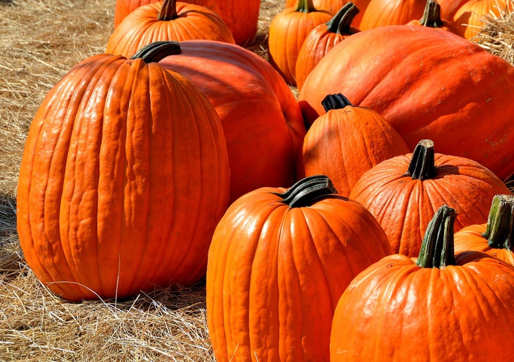 Top festivals in Kenosha, Wisconsin